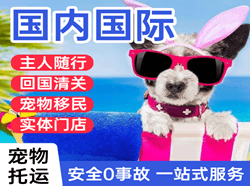盐城航空快运国际宠物托运 【国